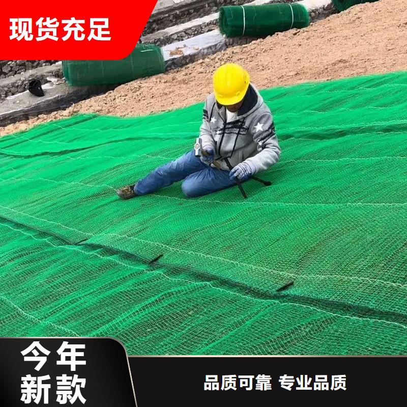 三维植被网塑料盲沟厂家直销供货稳定