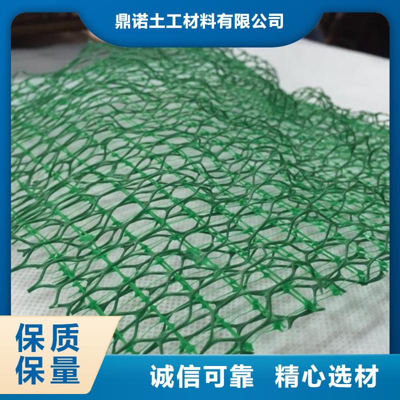 三维植被网_土工席垫好品质售后无忧