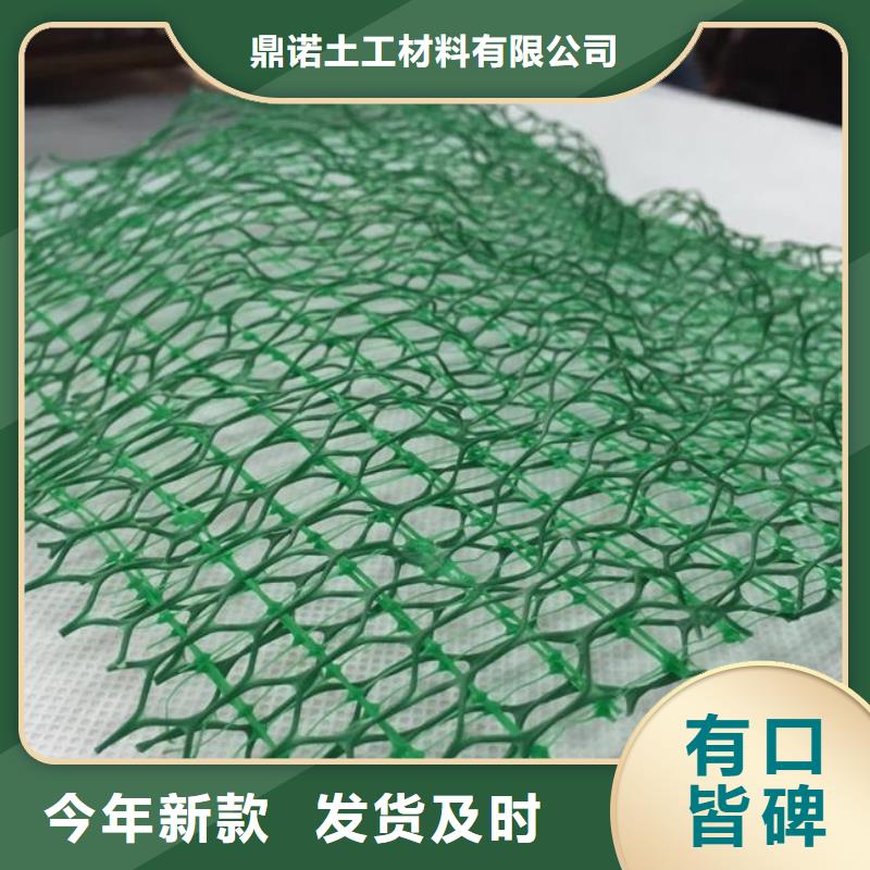 三维植被网三维土工网垫厂家直销大量现货
