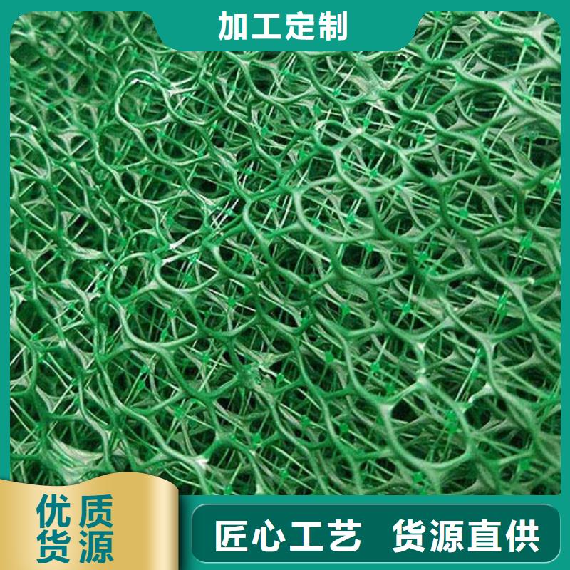 三维植被网玻纤格栅买的放心安兴用的舒心