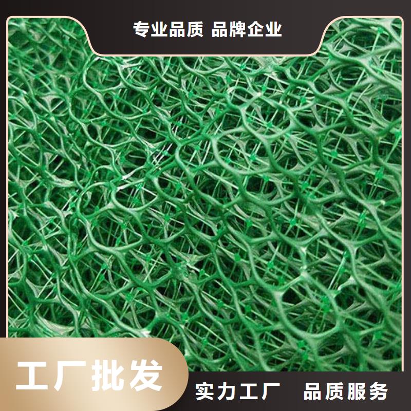 三维植被网_土工席垫好品质售后无忧