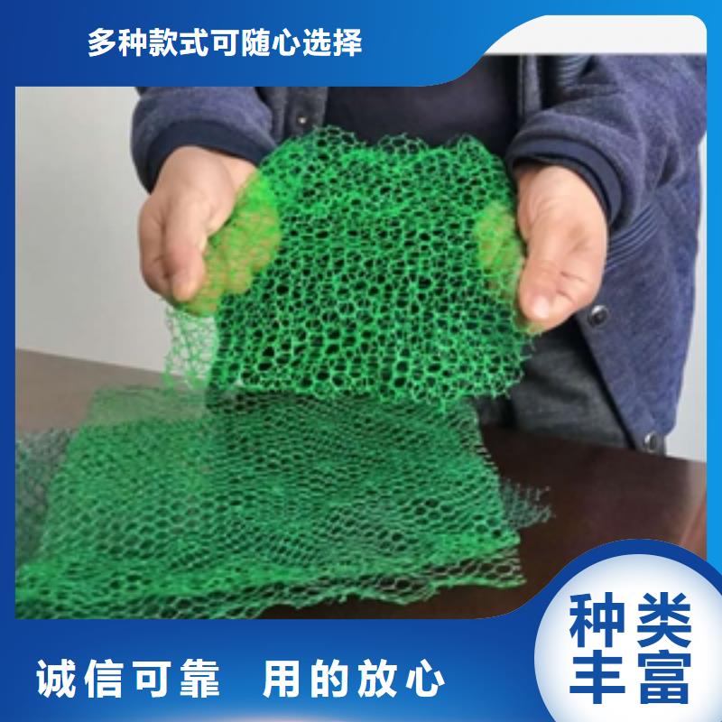 三维植被网_土工席垫好品质售后无忧