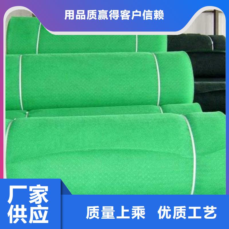 三维植被网_土工席垫好品质售后无忧