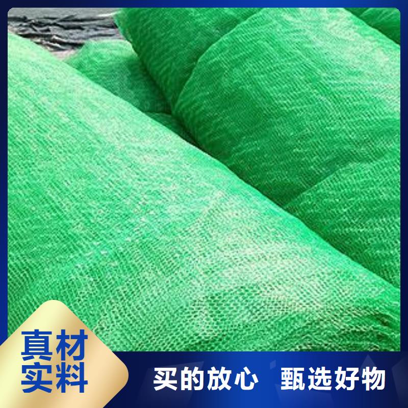 三维植被网_土工席垫好品质售后无忧