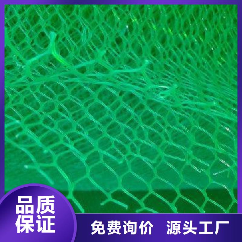 三维植被网_土工席垫好品质售后无忧