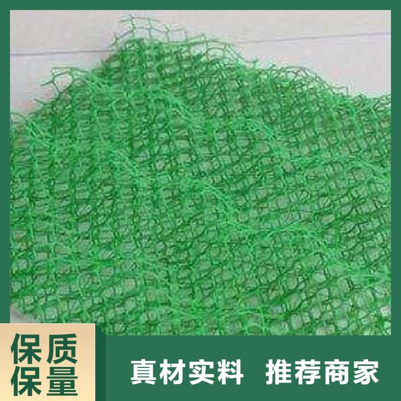 三维植被网_土工席垫好品质售后无忧