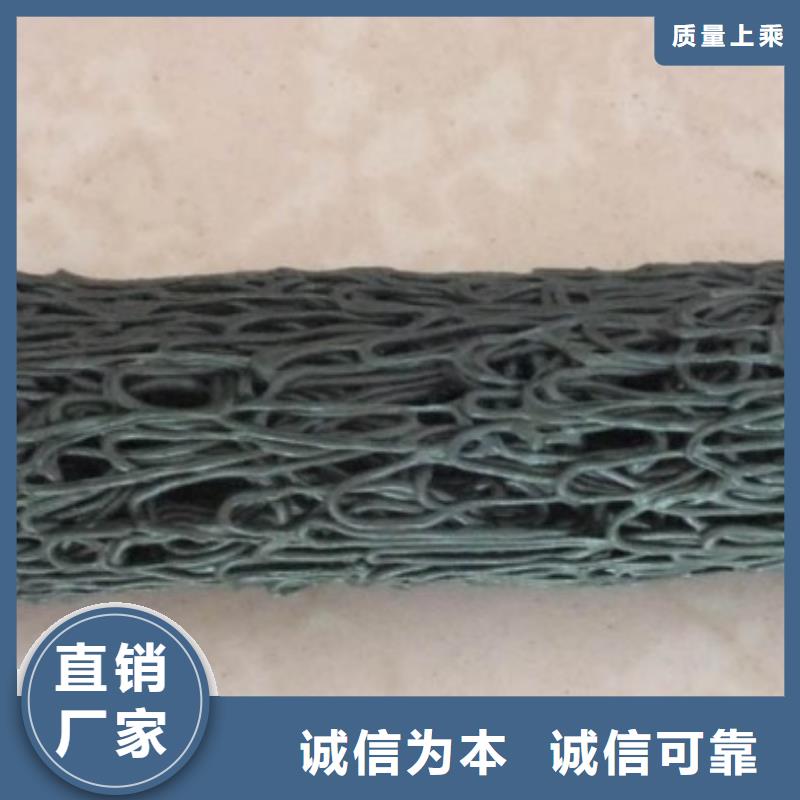 钢塑土工格栅-视频-钢塑土工格栅-江苏省盐城市东台|亭湖|连云港|泰州|宿迁|淮安该地制造商
