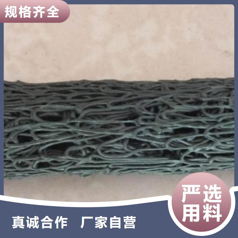 钢塑土工格栅视频-钢塑土工格栅_湖北省黄冈市市场覆盖罗田|武穴|恩施|荆州|武汉|襄阳等