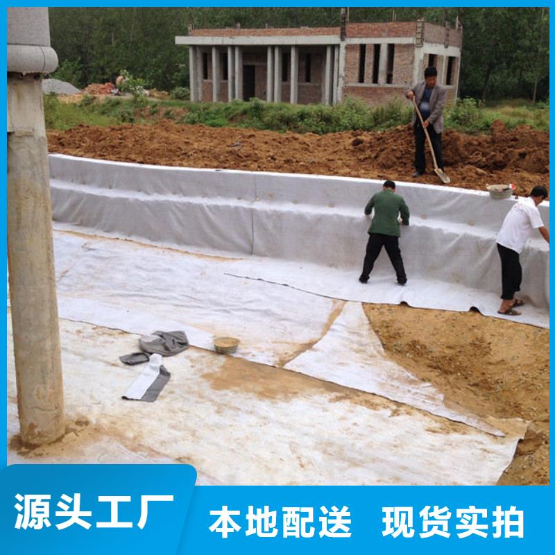 钢塑土工格栅-视频-湖南省衡阳市鼎诺钢塑土工格栅可服务区域雁峰|衡山|永州|张家界|湘潭|邵阳|常德|郴州|娄底等