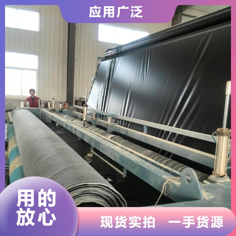 【膨润土防水毯涤纶土工格栅大厂生产品质】