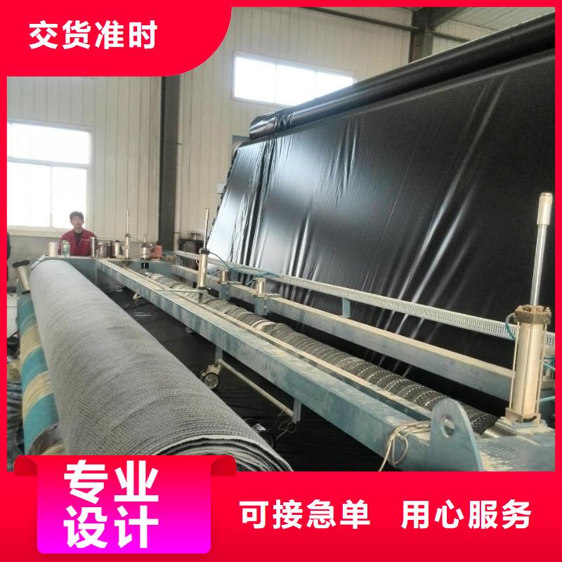 钢塑土工格栅-视频-湖南省衡阳市鼎诺钢塑土工格栅可服务区域雁峰|衡山|永州|张家界|湘潭|邵阳|常德|郴州|娄底等