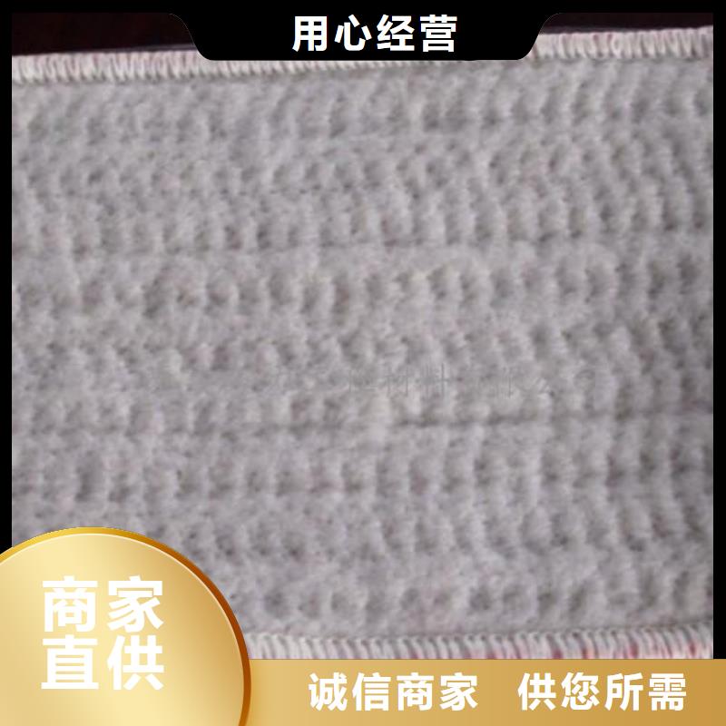 钢塑土工格栅-视频-钢塑土工格栅|青海省西宁市|湟中|湟源|黄南|海南|海东|海北