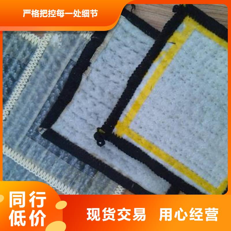 钢塑土工格栅-视频-湖南省衡阳市鼎诺钢塑土工格栅可服务区域雁峰|衡山|永州|张家界|湘潭|邵阳|常德|郴州|娄底等