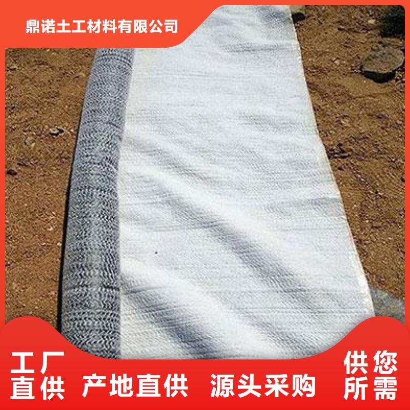 钢塑土工格栅-视频-湖南省衡阳市鼎诺钢塑土工格栅可服务区域雁峰|衡山|永州|张家界|湘潭|邵阳|常德|郴州|娄底等