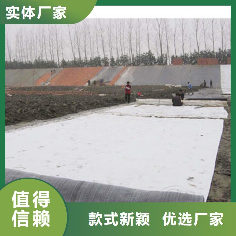 【膨润土防水毯_水土保护毯源厂定制】