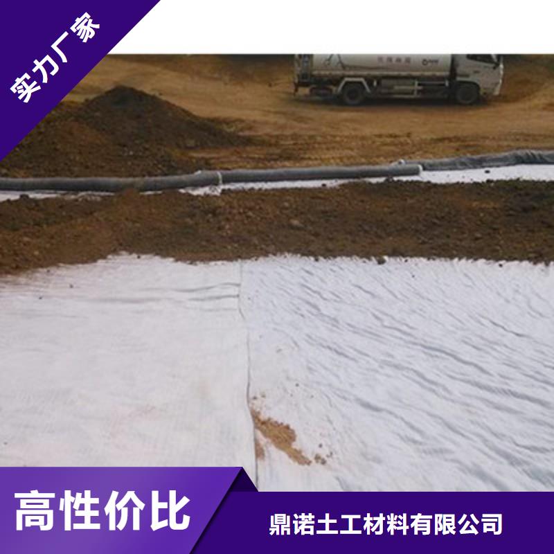 钢塑土工格栅-视频-湖南省衡阳市鼎诺钢塑土工格栅可服务区域雁峰|衡山|永州|张家界|湘潭|邵阳|常德|郴州|娄底等
