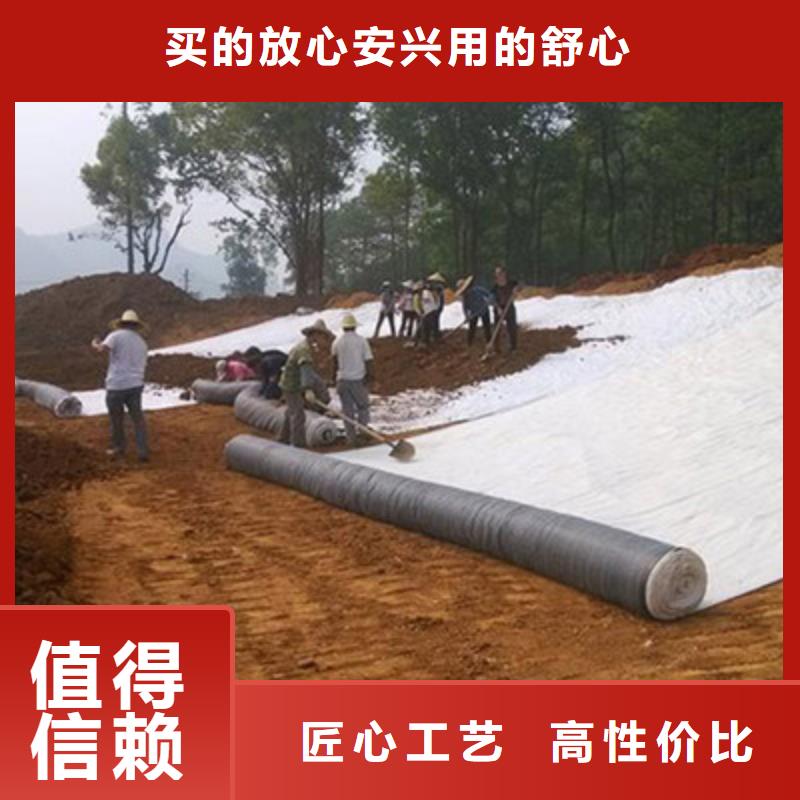 【膨润土防水毯_水土保护毯源厂定制】