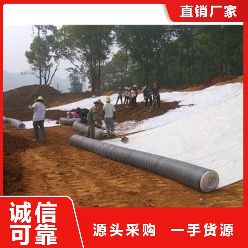 膨润土防水毯,复合土工膜品质保障售后无忧