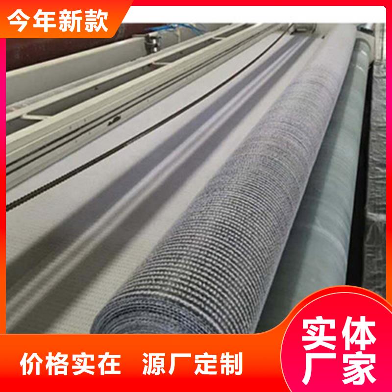 【膨润土防水毯-土工席垫认准大品牌厂家】