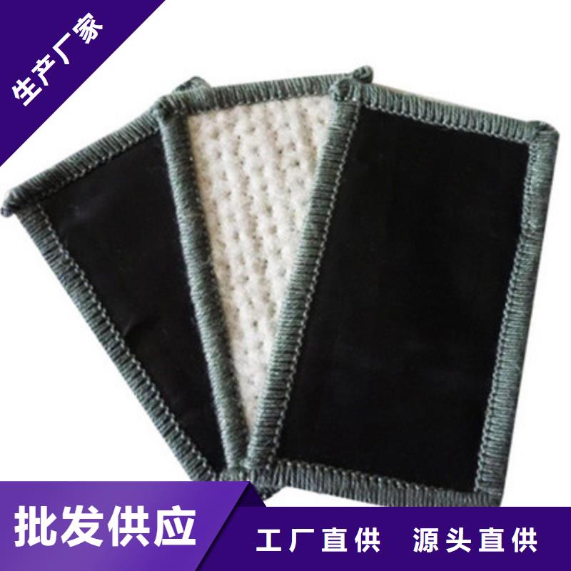 钢塑土工格栅-视频-湖南省衡阳市鼎诺钢塑土工格栅可服务区域雁峰|衡山|永州|张家界|湘潭|邵阳|常德|郴州|娄底等