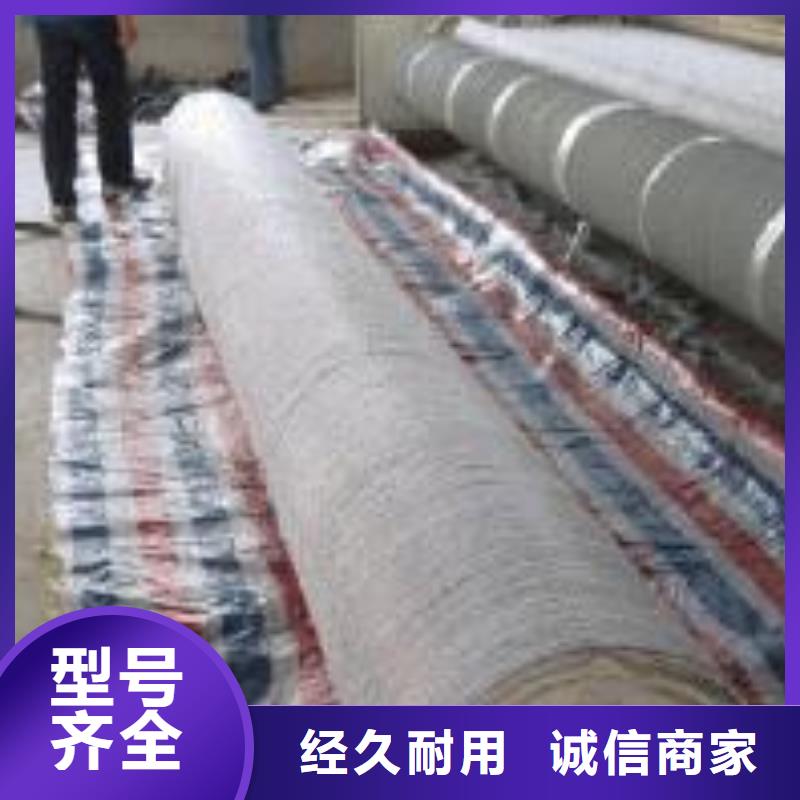 【膨润土防水毯涤纶土工格栅大厂生产品质】