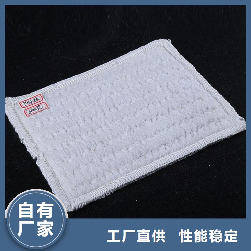 钢塑土工格栅-视频-湖南省衡阳市鼎诺钢塑土工格栅可服务区域雁峰|衡山|永州|张家界|湘潭|邵阳|常德|郴州|娄底等