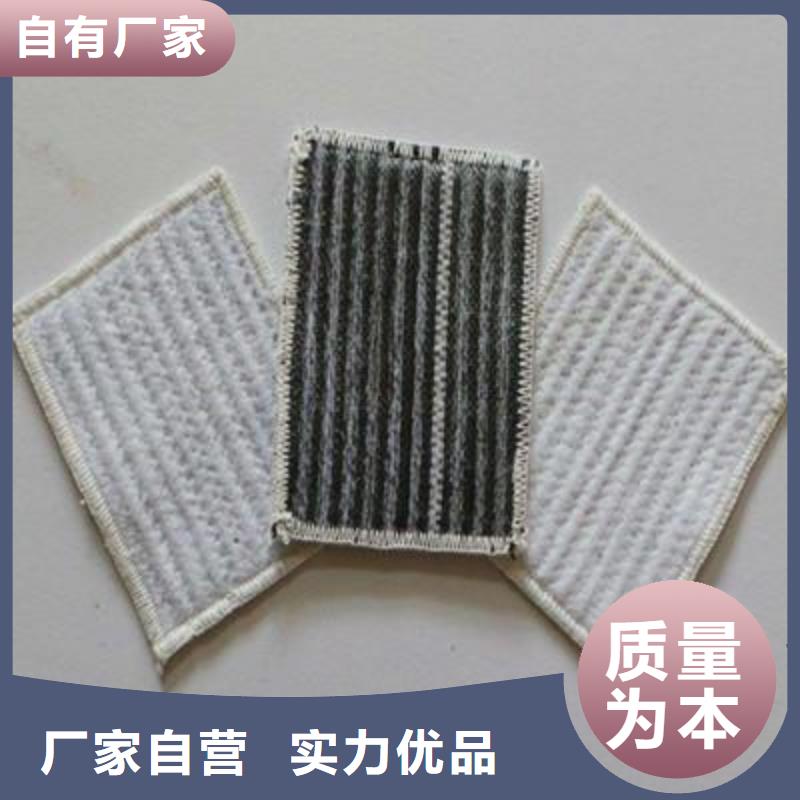【膨润土防水毯_水土保护毯源厂定制】