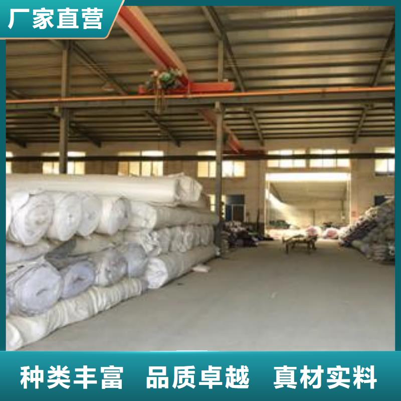 钢塑土工格栅-视频-钢塑土工格栅|青海省西宁市|湟中|湟源|黄南|海南|海东|海北