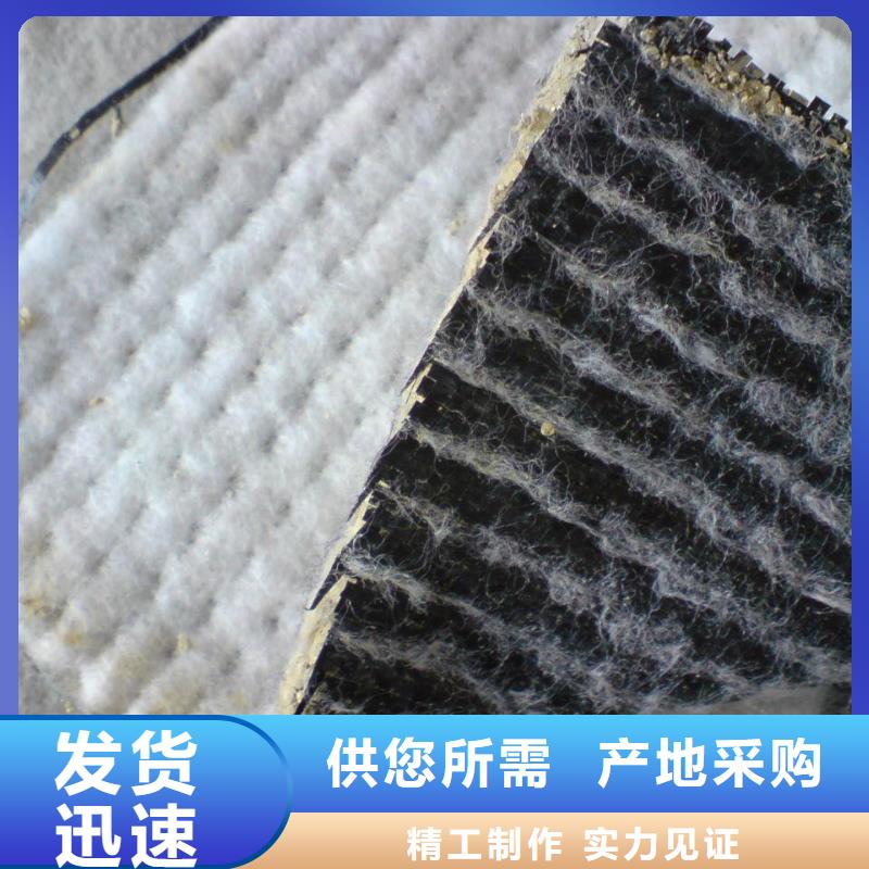钢塑土工格栅-视频-湖南省衡阳市鼎诺钢塑土工格栅可服务区域雁峰|衡山|永州|张家界|湘潭|邵阳|常德|郴州|娄底等