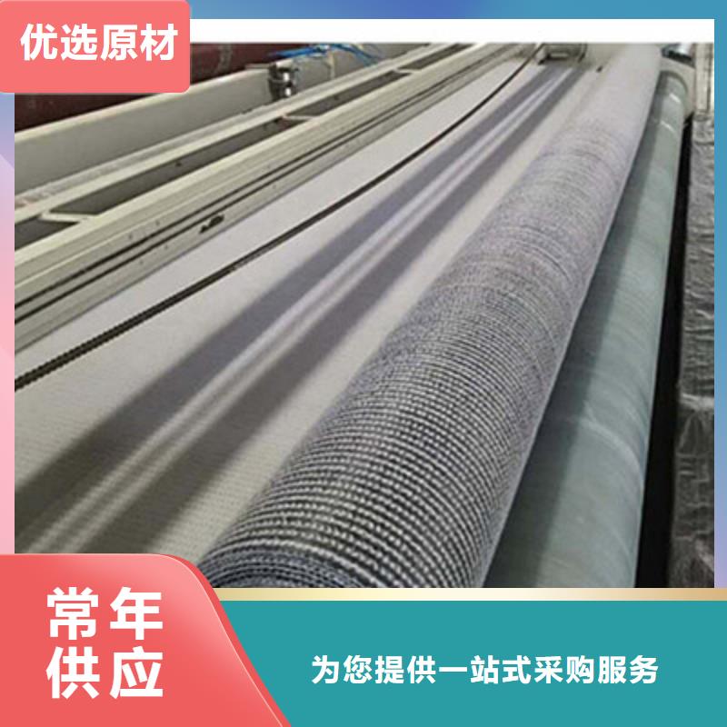 【膨润土防水毯-土工席垫认准大品牌厂家】