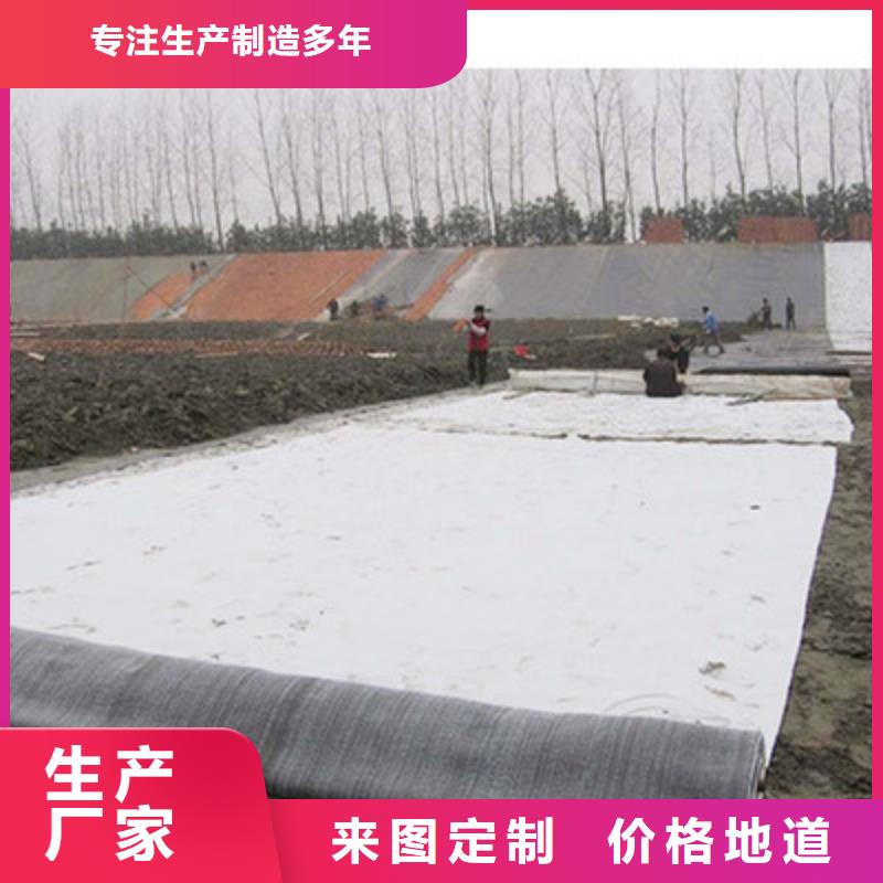 【膨润土防水毯-土工席垫认准大品牌厂家】