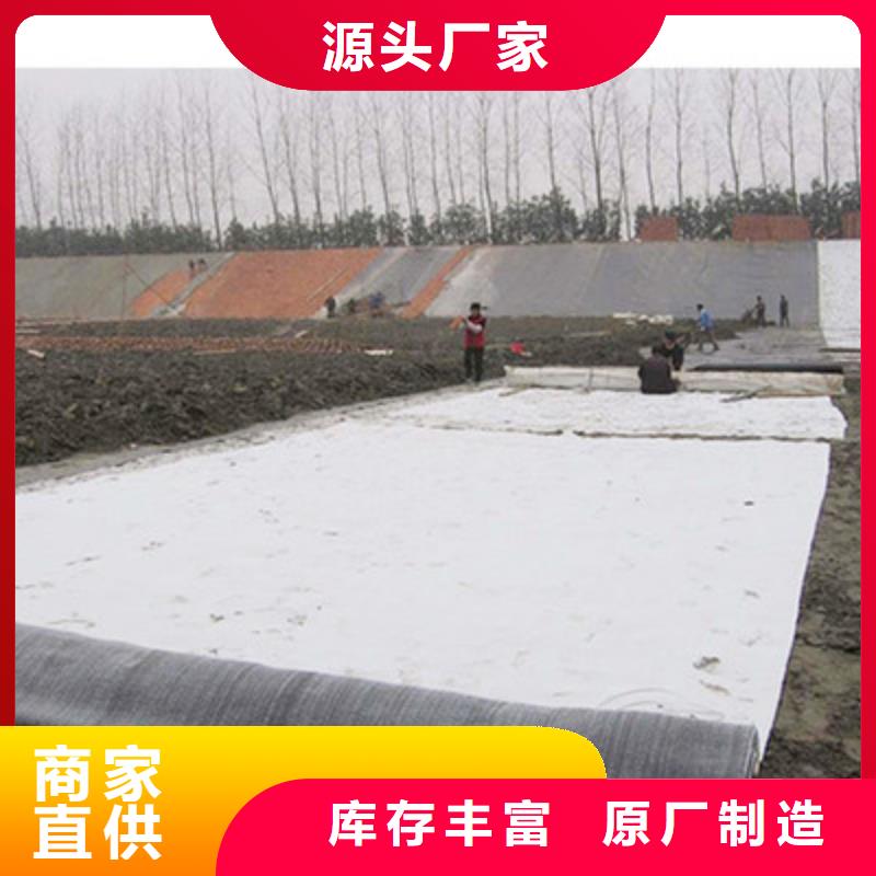 钢塑土工格栅-视频-湖南省衡阳市鼎诺钢塑土工格栅可服务区域雁峰|衡山|永州|张家界|湘潭|邵阳|常德|郴州|娄底等