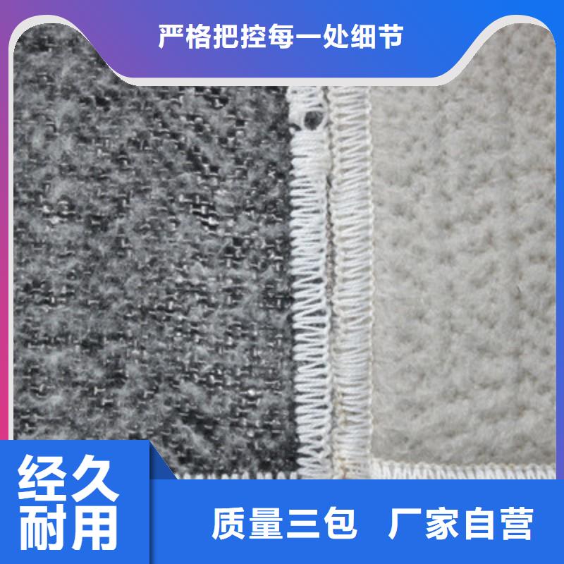 【膨润土防水毯-土工席垫认准大品牌厂家】