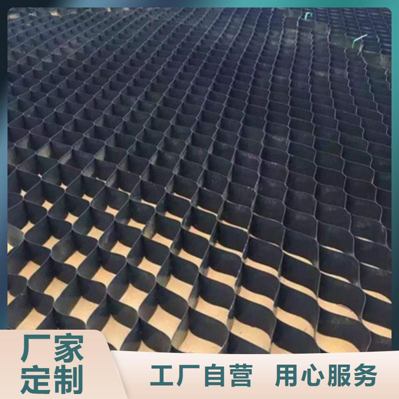 钢塑土工格栅视频-钢塑土工格栅-广东省汕尾市【周边】品牌-海丰|陆河|东莞|中山|佛山|珠海|云浮|江门