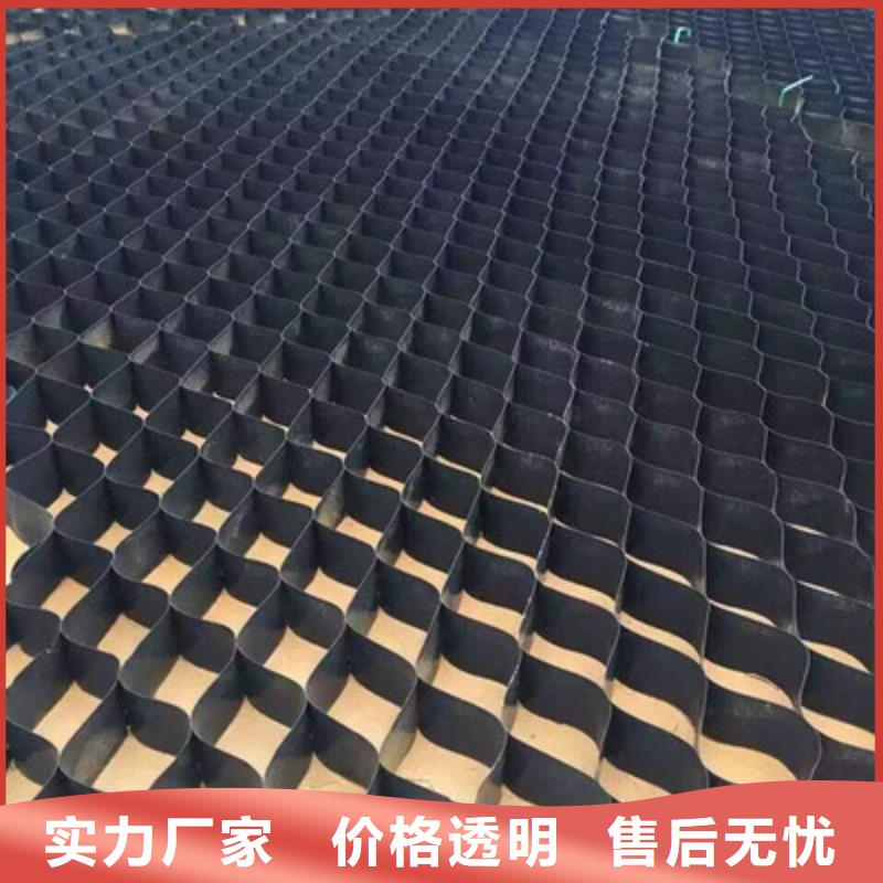土工格室双向拉伸土工格栅精心