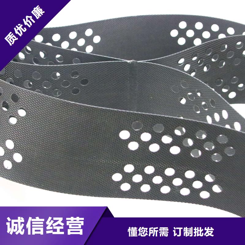 土工格室双向拉伸土工格栅拒绝伪劣产品