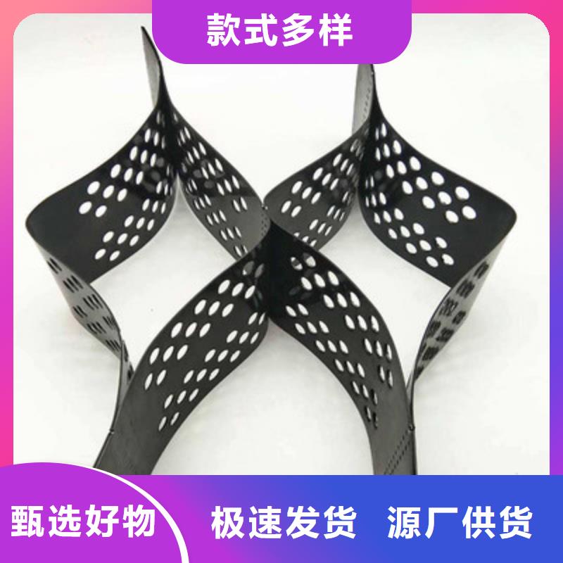 土工格室双向拉伸土工格栅精心