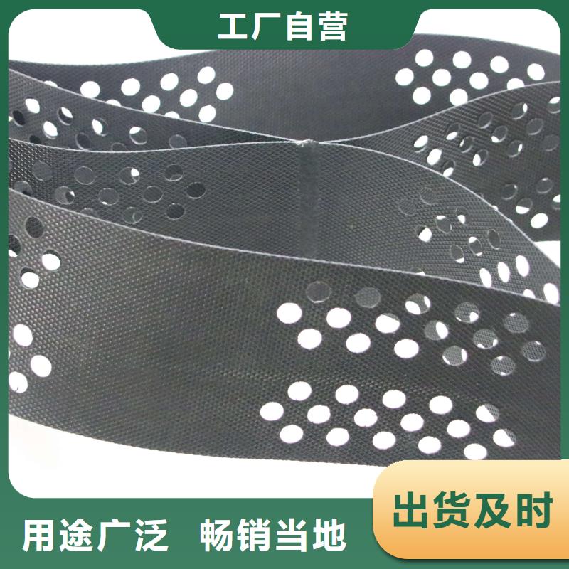 钢塑土工格栅-视频-河南省商丘市|虞城|夏邑|周口|新乡|鹤壁|信阳|驻马店|焦作钢塑土工格栅-鼎诺