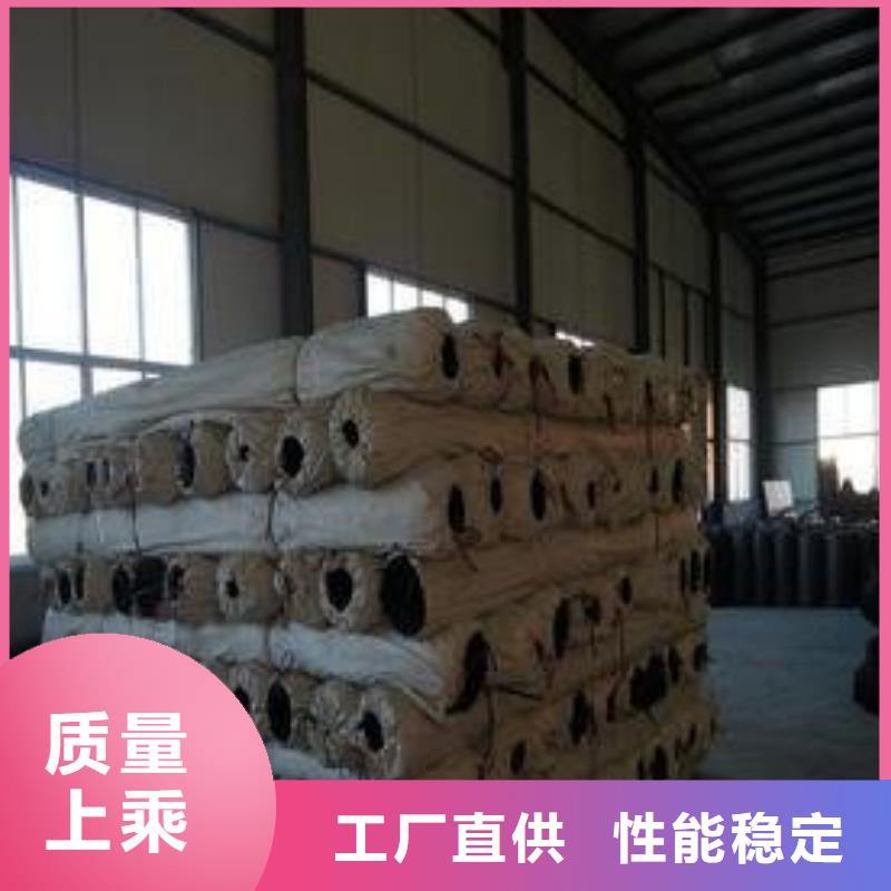 钢塑土工格栅塑料盲沟量大从优