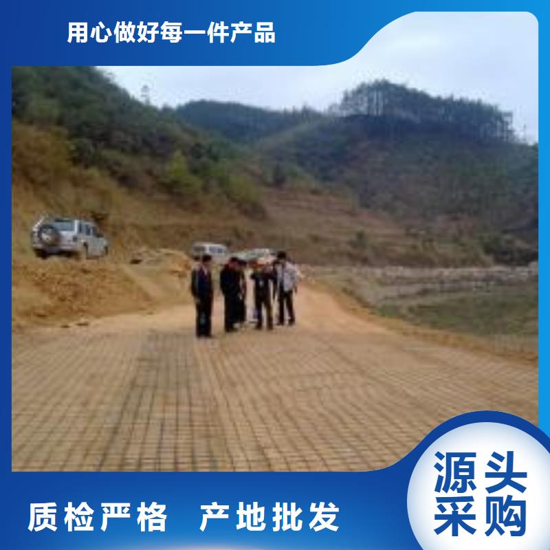 钢塑土工格栅_三维植被网厂家精选优质材料