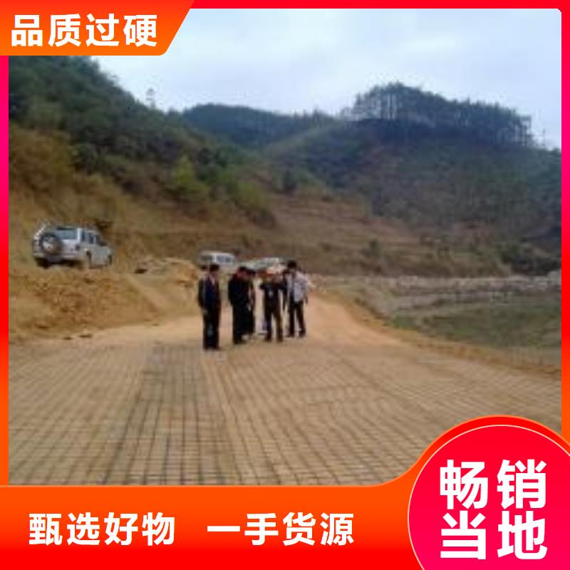 钢塑土工格栅钢塑土工格栅厂家质量好