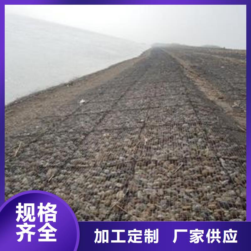 钢塑土工格栅钢塑土工格栅厂家质量好