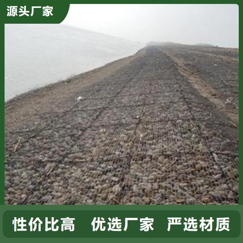 钢塑土工格栅塑料盲沟量大从优