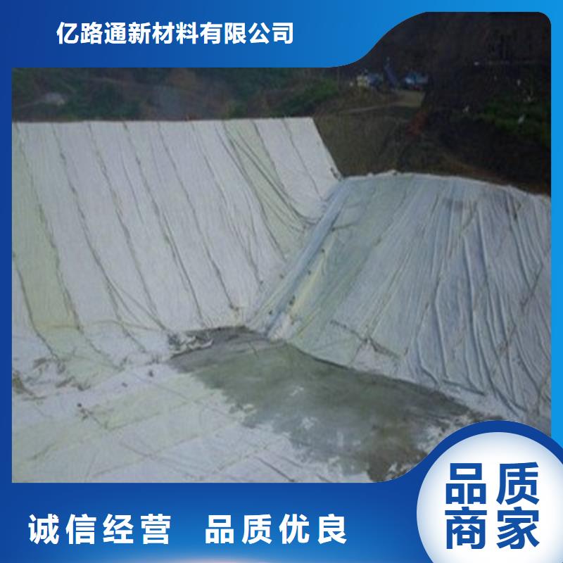 土工布钢塑土工格栅支持大批量采购