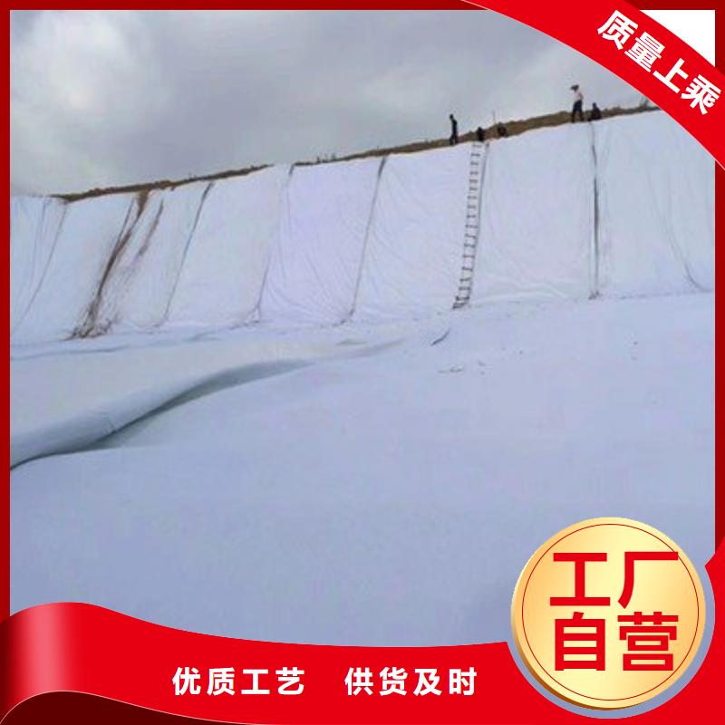 土工布钢塑土工格栅支持大批量采购
