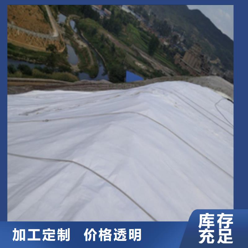 土工布_玻璃纤维土工格栅全新升级品质保障