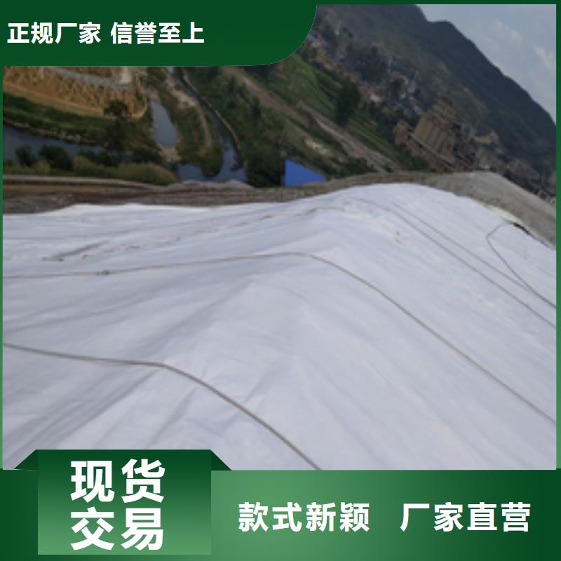 土工布价格-视频-青岛市土工布价格-本土可服务区域李沧|城阳|莱芜|滨州|济宁|泰安|烟台