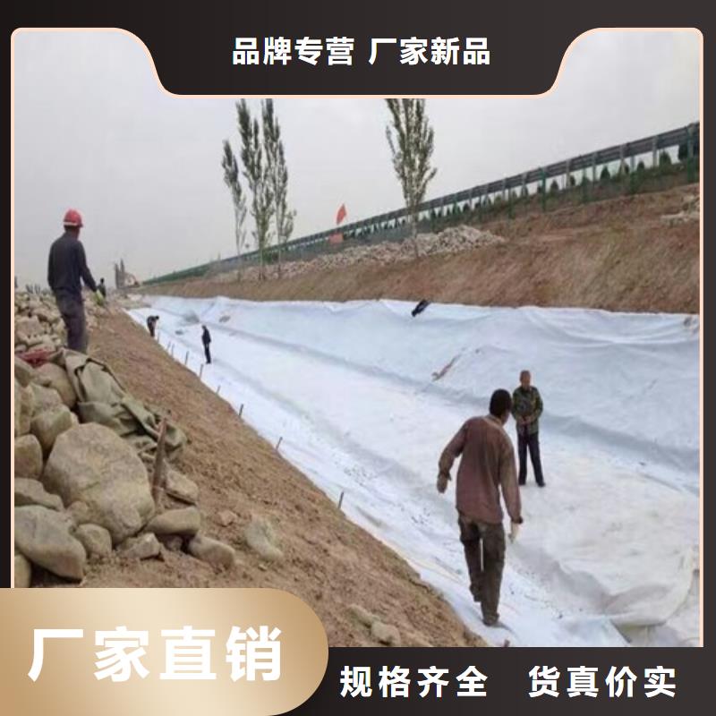 土工布价格-视频-青岛市土工布价格-本土可服务区域李沧|城阳|莱芜|滨州|济宁|泰安|烟台