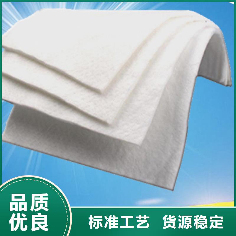 土工布钢塑土工格栅支持大批量采购
