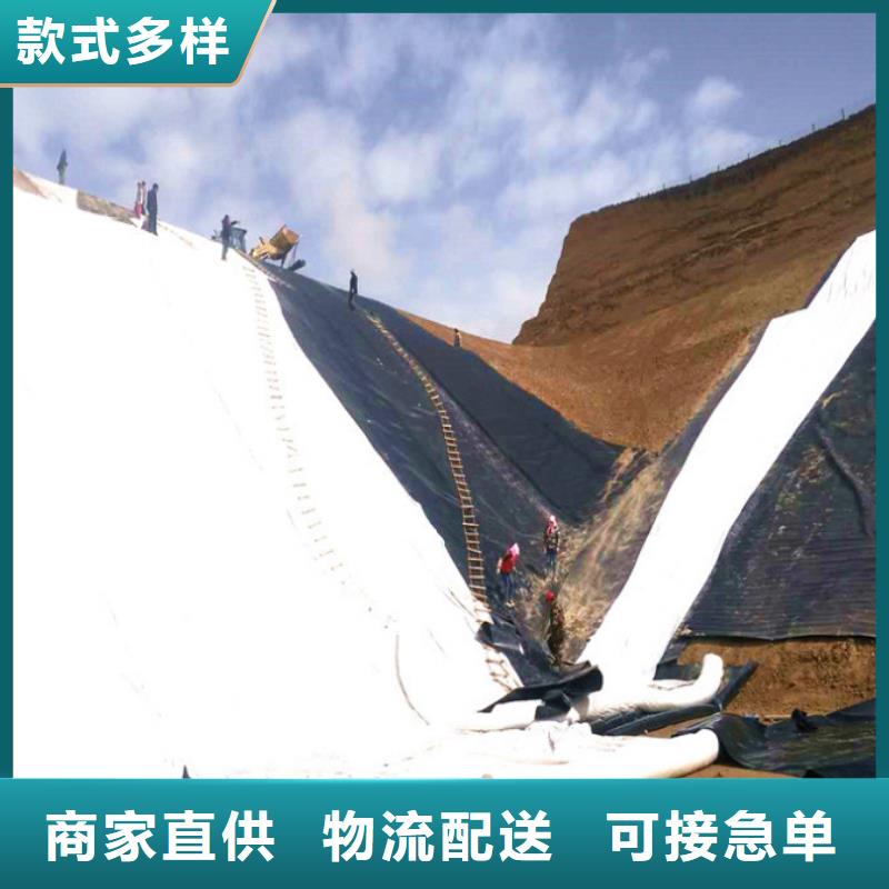 土工布钢塑土工格栅支持大批量采购